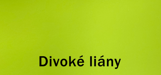 Dulux COW barvy světa 2,5l