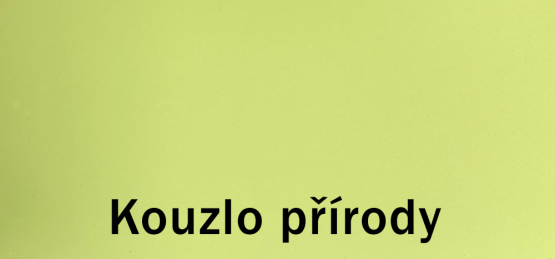 Dulux EasyCare 2,5l