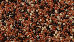 Baumit MosaikTop Essential Line 25kg