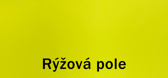 Dulux COW barvy světa 2,5l