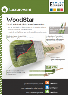 Color Expert Woodstar - profesionální lazurovací štětec