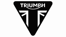 Motolak ve spreji Triumph