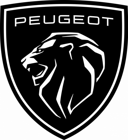 Opravná tužka na auto Peugeot 100ml