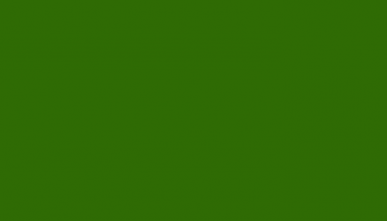 Austis ETERNAL mat akrylátový 10kg - Eternal Mat akrylátový: 06 - zelený