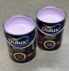 Dulux Rapidry W7.11.70