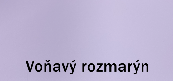 Dulux COW barvy světa 2,5l