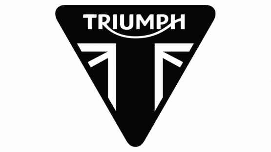 Motolak ve spreji Triumph